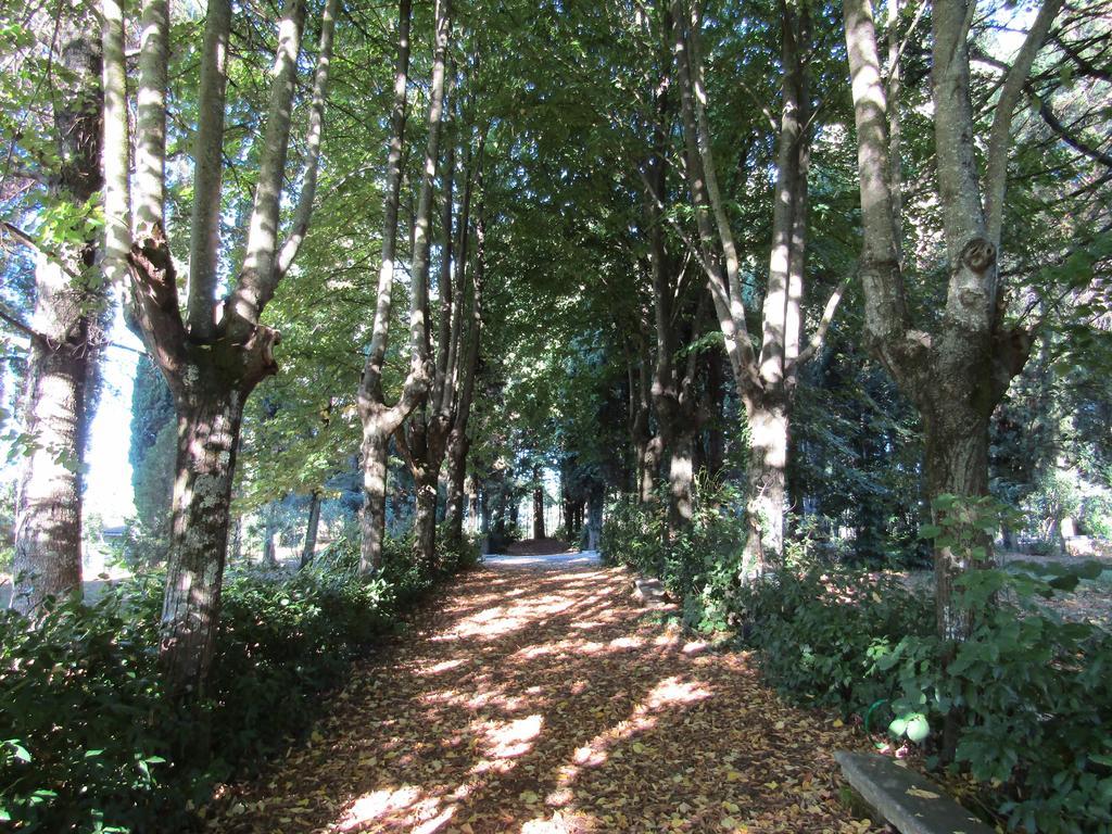 Monastero San Vincenzo - Casa Per Ferie Hotel Bassano Romano Eksteriør billede