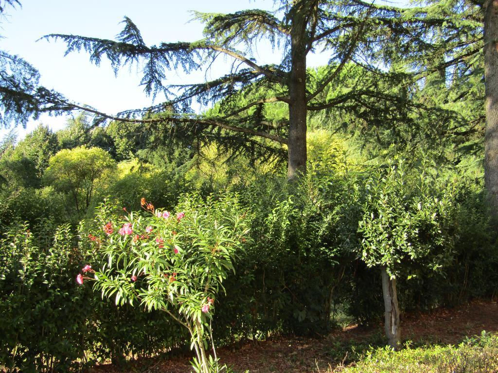 Monastero San Vincenzo - Casa Per Ferie Hotel Bassano Romano Eksteriør billede